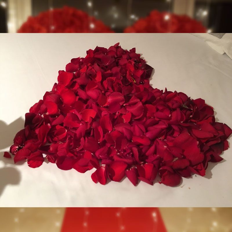 petalos-opt